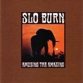 Slo Burn - Amusing The Amazing