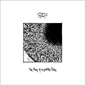 gozu-fury