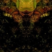 House Of Low Culture - Edwards Lament