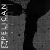 Pelican - Untitled