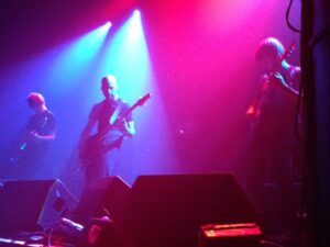 DF2016 LONDON - PELICAN