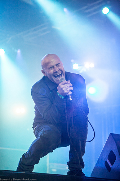 7 Goatsnake - IMG_1038