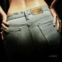 Honky_Corduroy_Cover_final-1024x1024